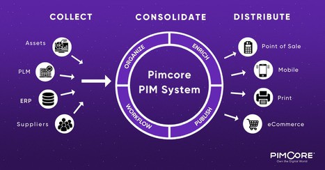 Cosa puoi fare con una soluzione PIM - Pimcpre