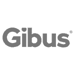 Gibus Pimcore Essesolutions