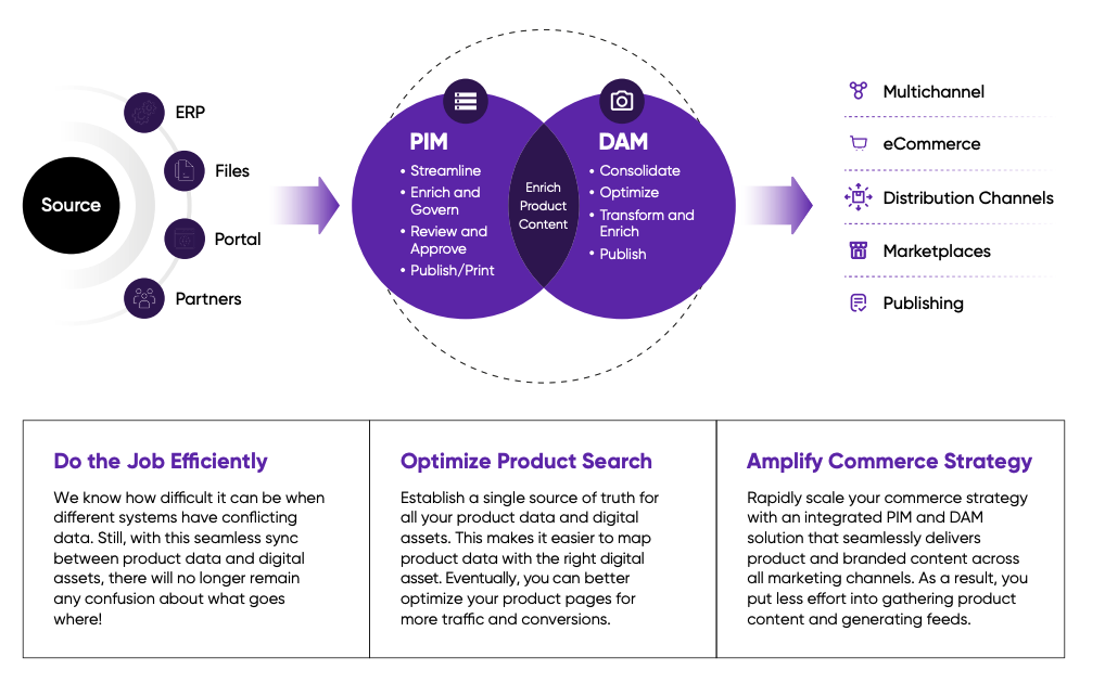 pimcore pim dam essesolutions